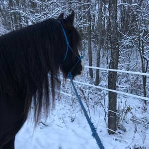 Meet your Posher, Lisa